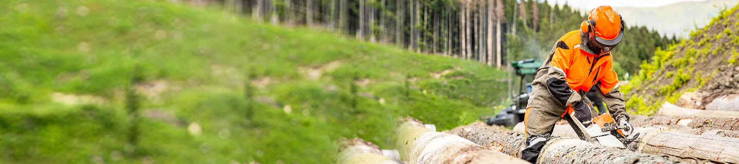 Sustainable Cloud Journey for Forestry with HCL MyXalytics