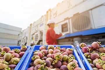 Customer case study thumbnail showing how HCL BigFix endpoint management and security strengthened compliance and reduced risk