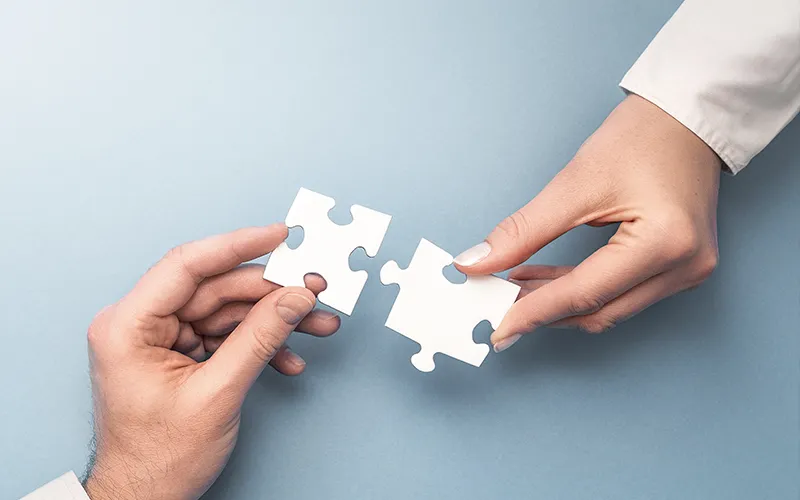 HCLSoftware Solution Partner