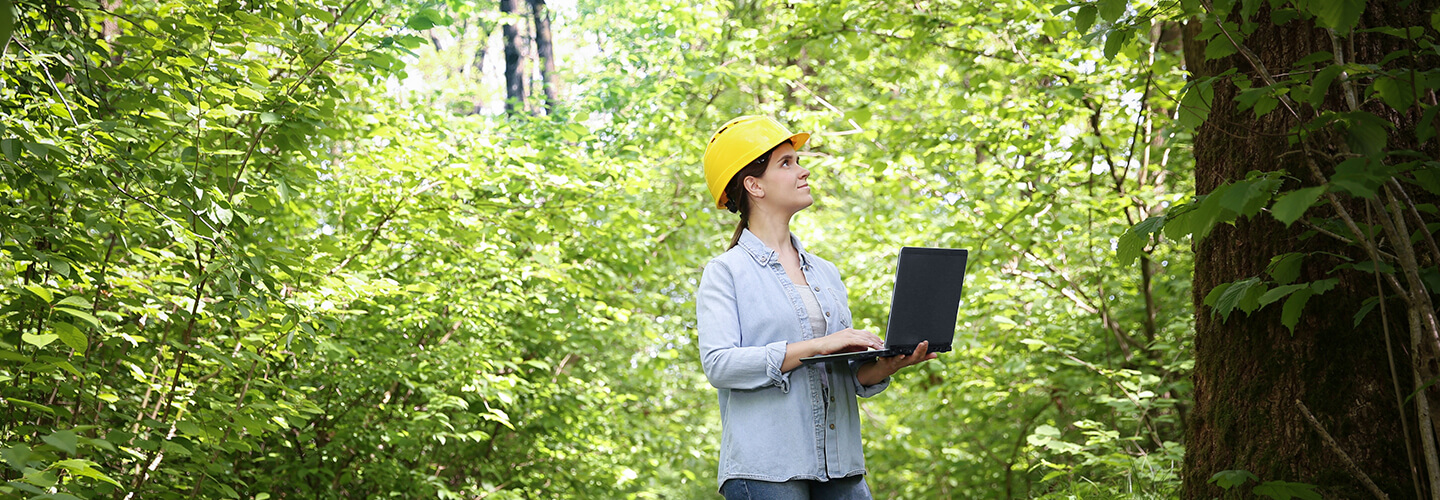 Sustainable Cloud Journey for Forestry with HCL MyXalytics