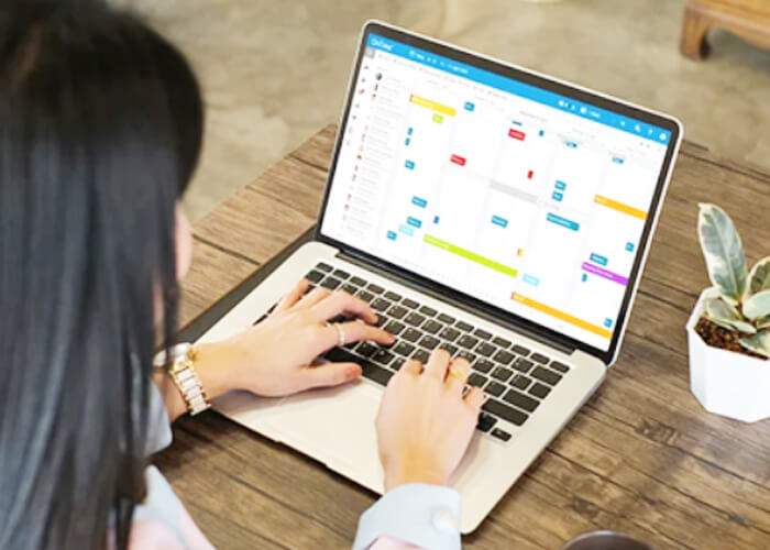 Domino-Save Time with OnTime Group Calendar