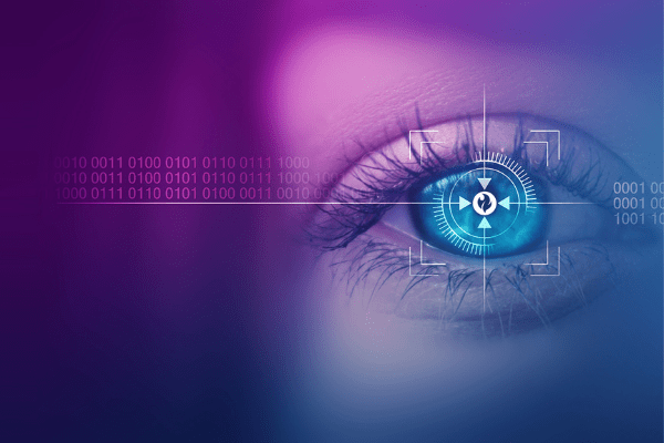 multi faced web presence