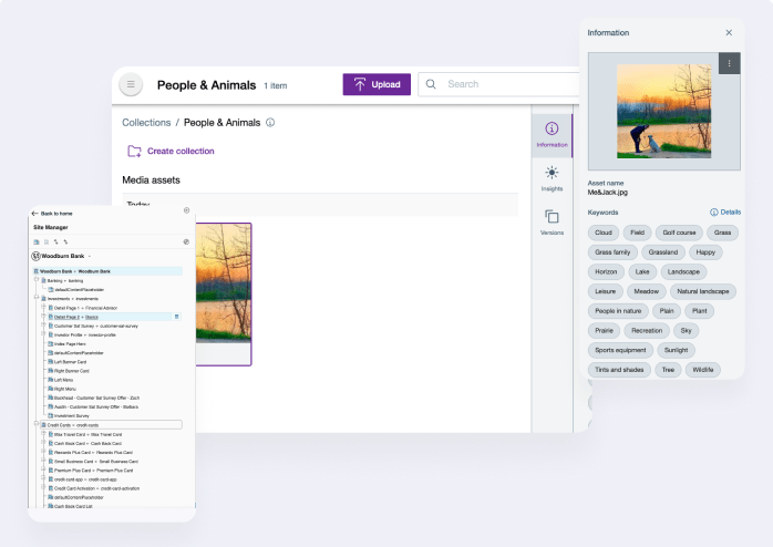 Drag-and-Drop Content Creation and Management